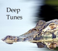 Deep Tunes