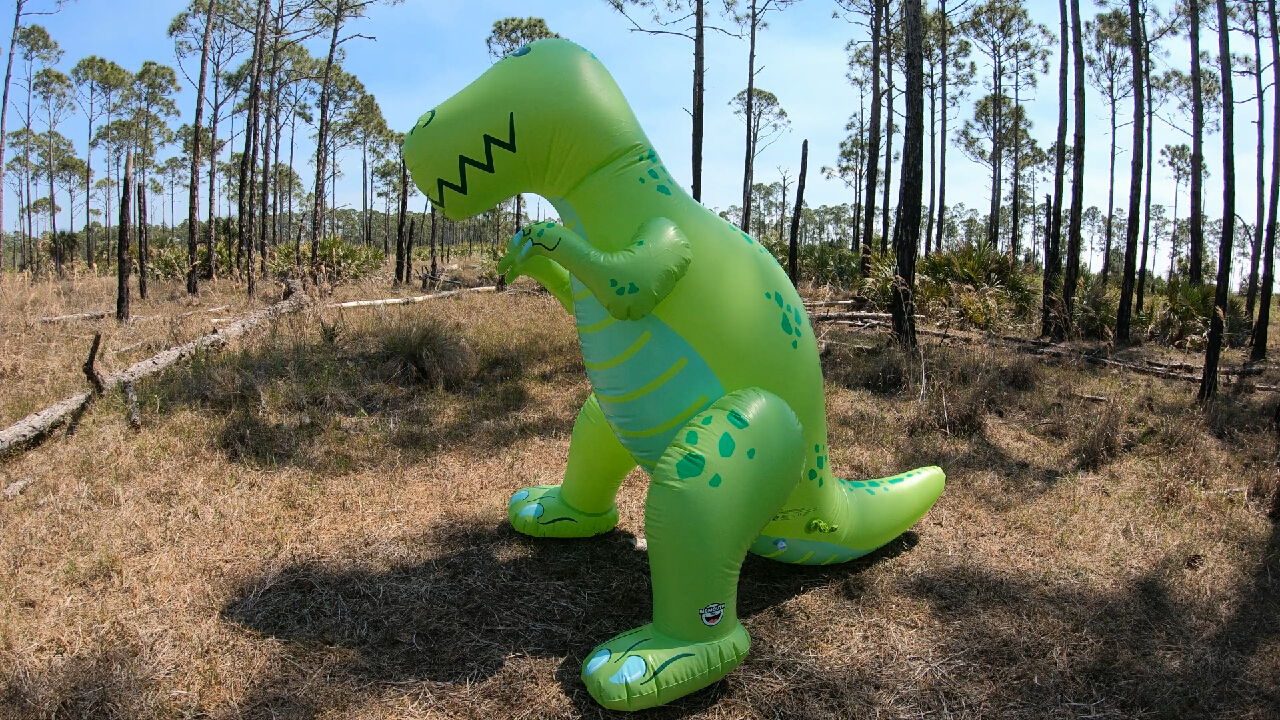 Big mouth hot sale dinosaur sprinkler