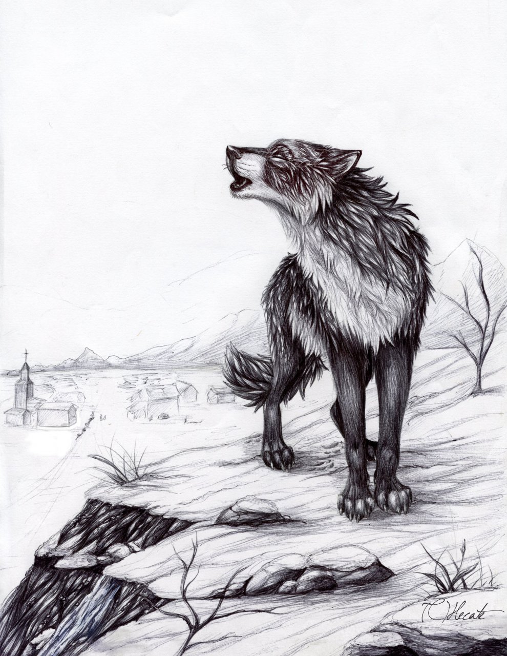 Картинки волка рисунки. Волк рисунок. Волк карандашом. Зарисовки волка. Крисонок волка.