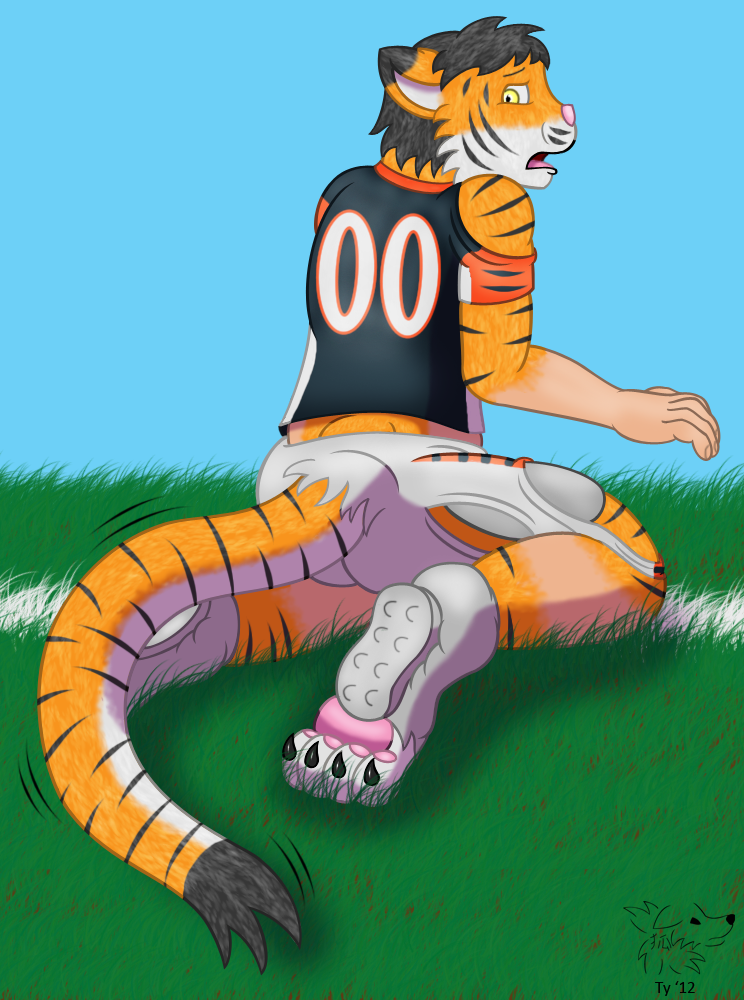 bengal tigers nfl