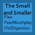 The Small and Smaller (Vore Story)