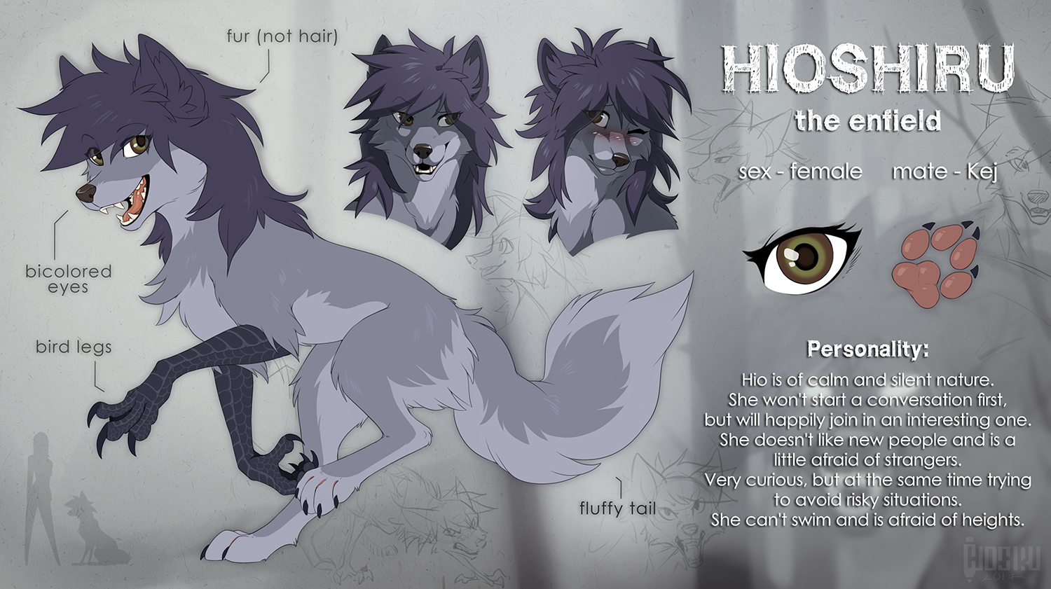 Hioshiru reference by Hioshiru -- Fur Affinity [dot] net