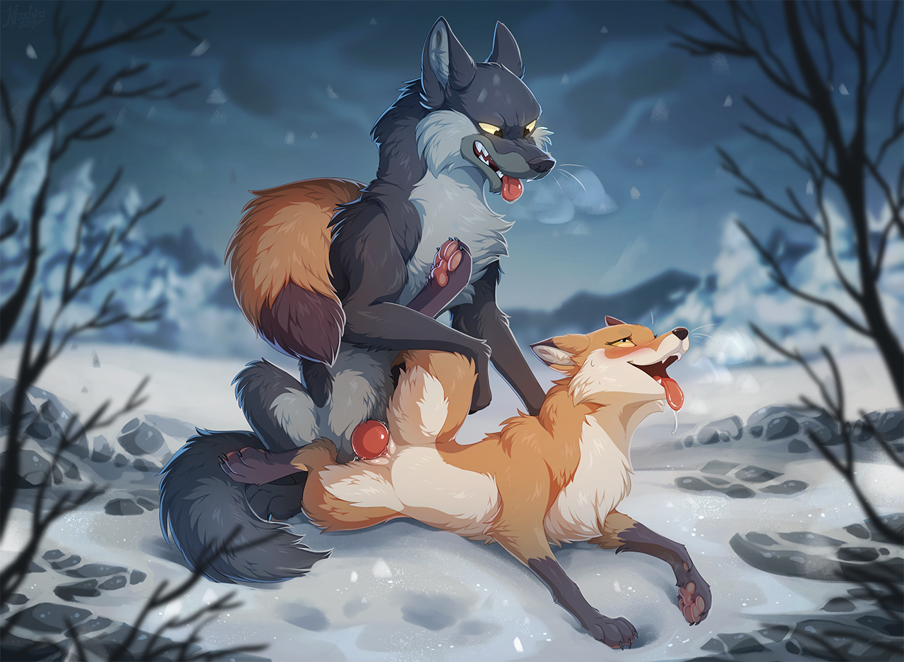 Fox And Wolf Yiff Porn Video