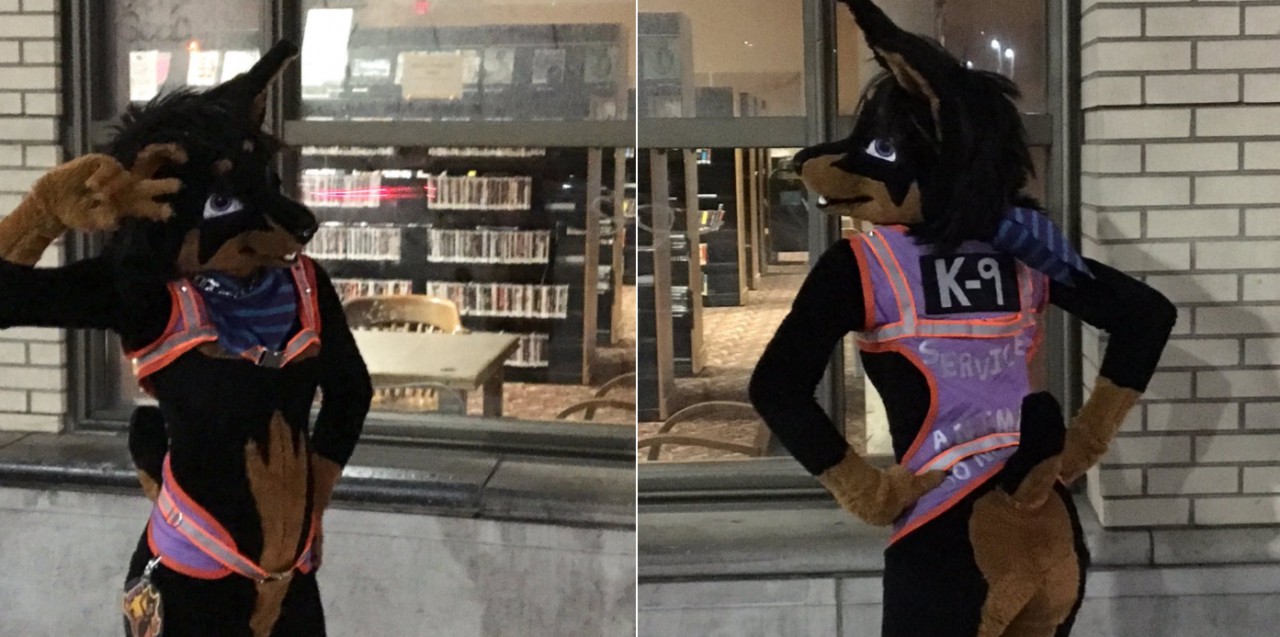 service-animal-vest-by-hojozilla-fur-affinity-dot-net
