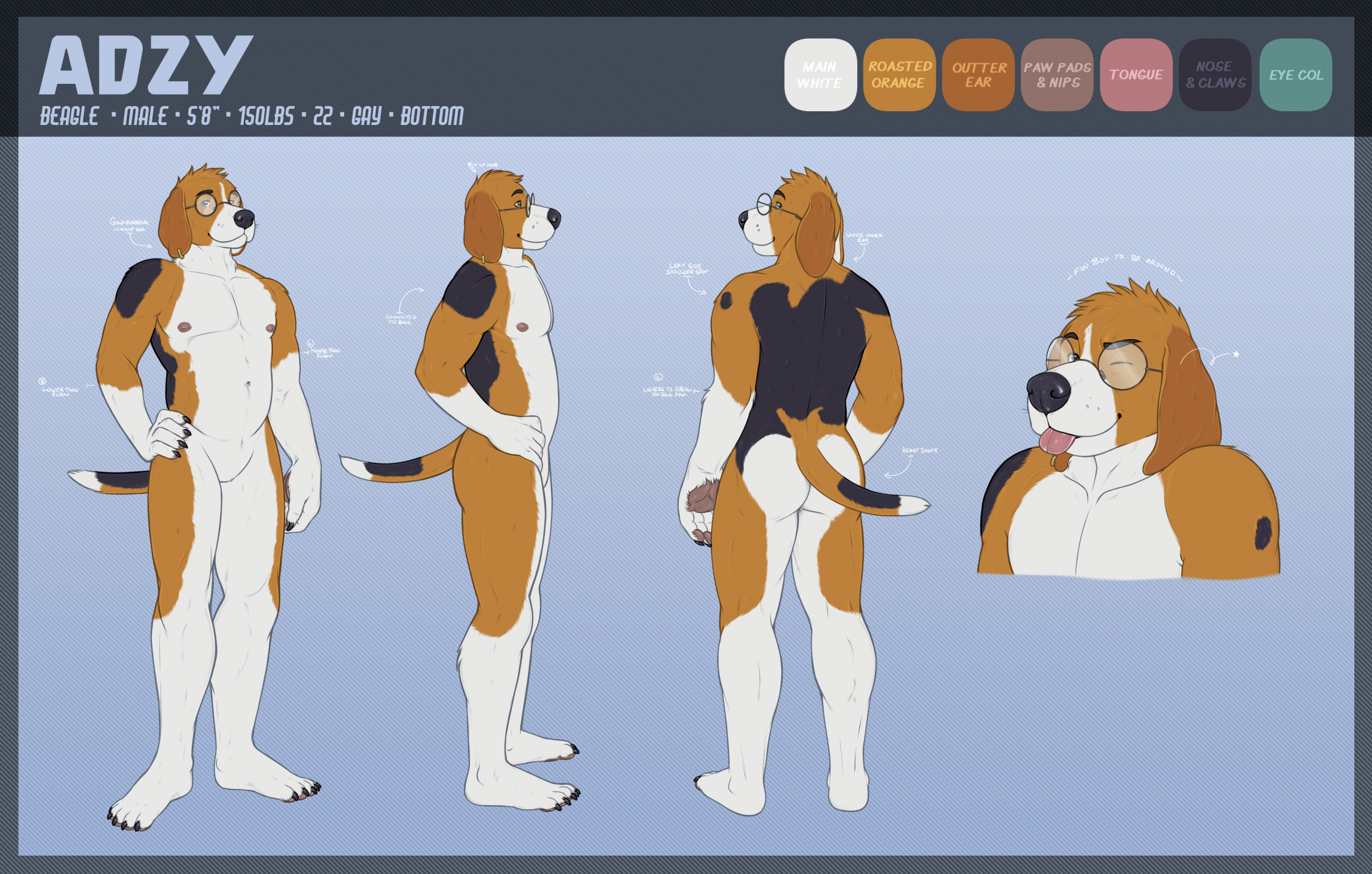 AdzyBeagle Reference sheet (PG nude) by HomogenousRule -- Fur Affinity  [dot] net