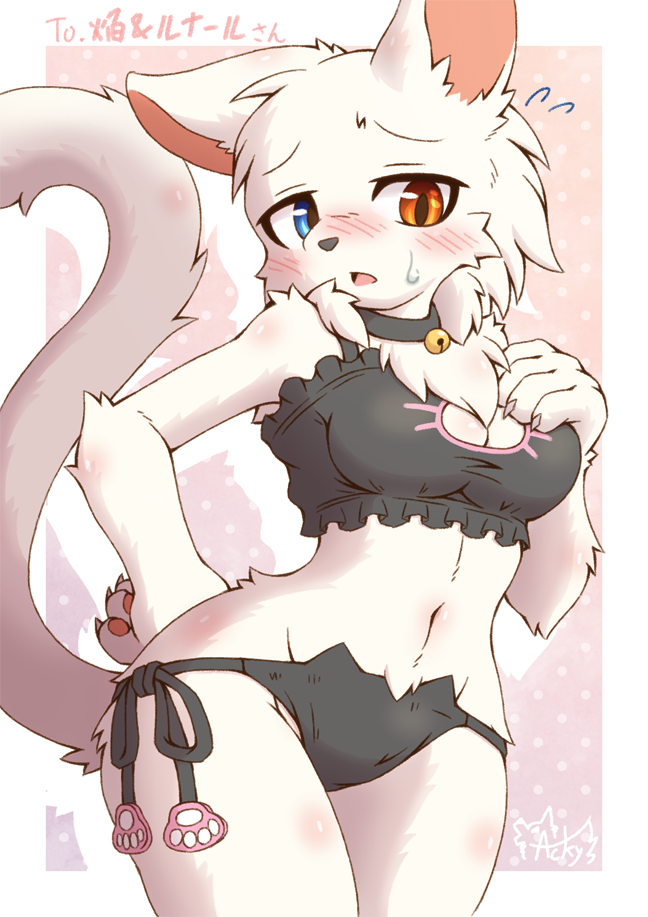 Not my art Cat lingerie. by homura kasuka Fur Affinity dot net