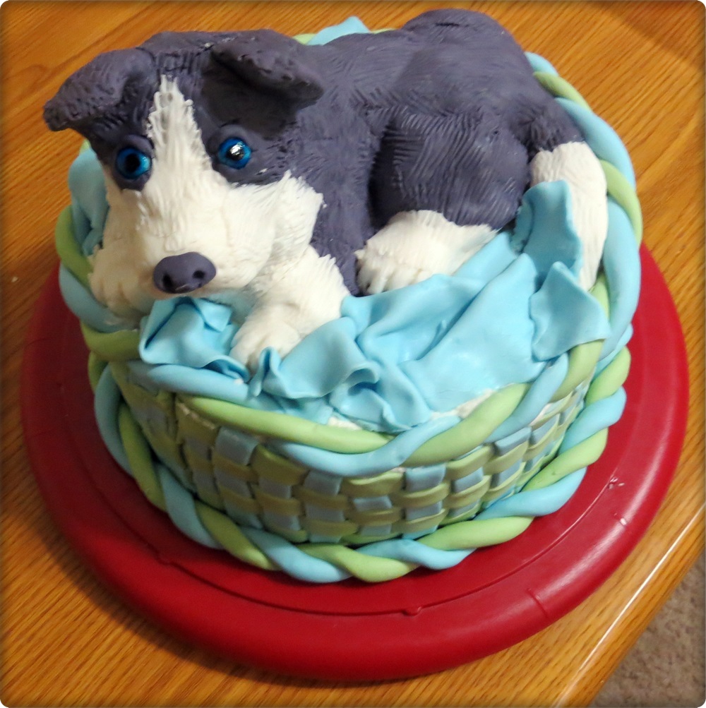 Collie dog cake hotsell