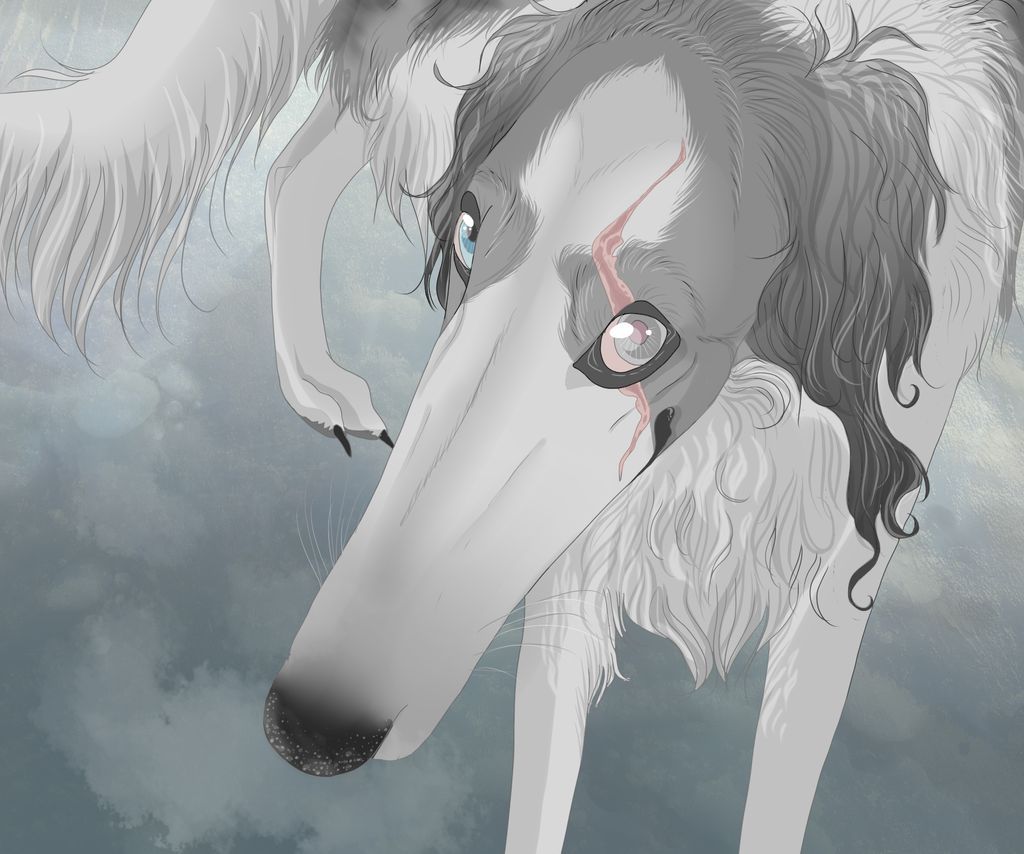 borzoi ☆ (@houndspo) / X