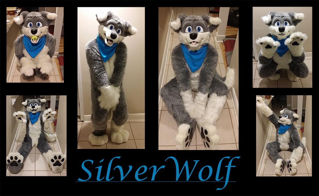 SilverWolf - in the fur ^.^