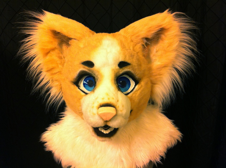 Bebe The Papillon Head 2 By Hydrafluff Fur Affinity Dot Net