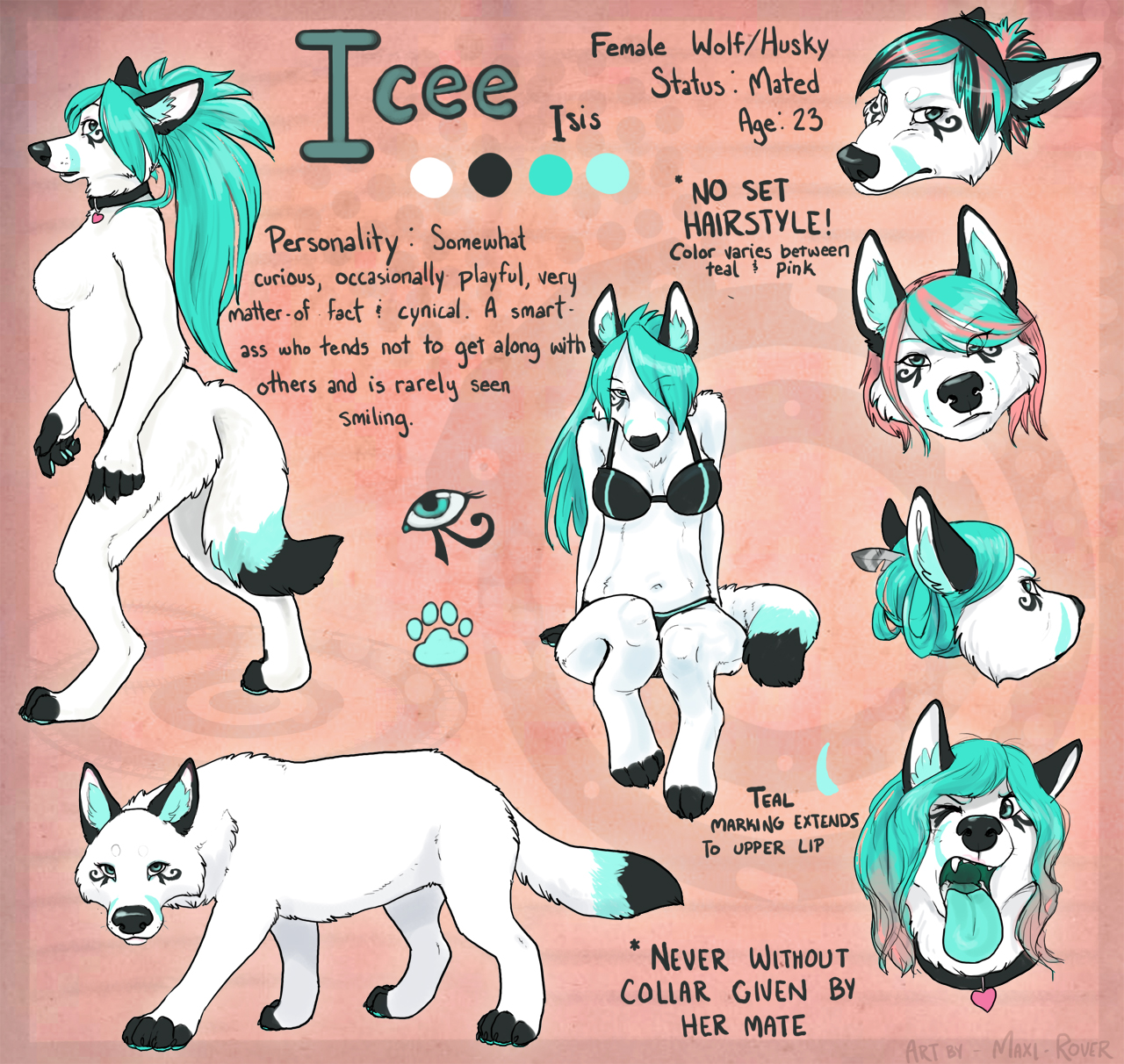 Updated Ref Sheet- Underwear by CJtheOtter -- Fur Affinity [dot] net