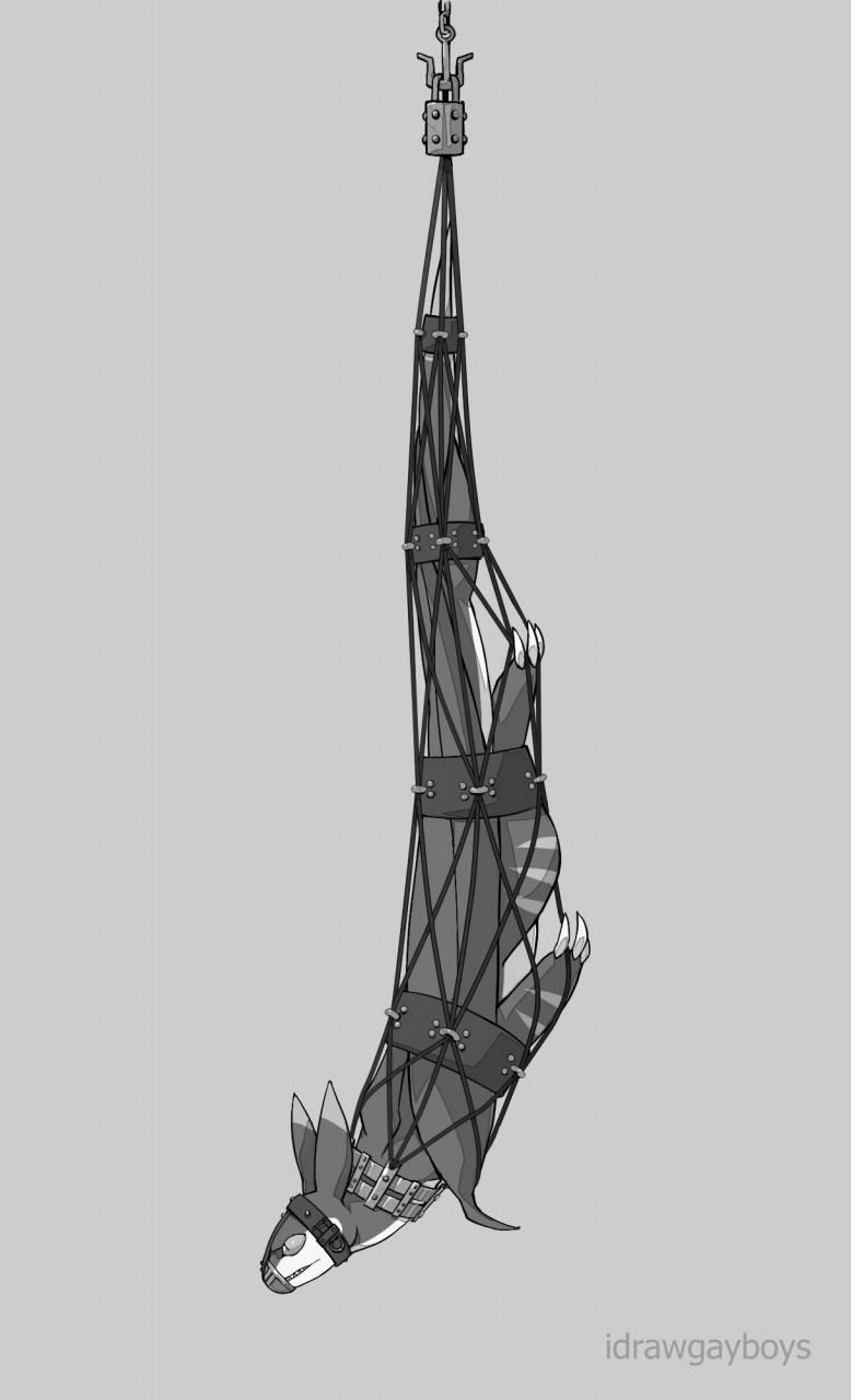 hangingbondage 