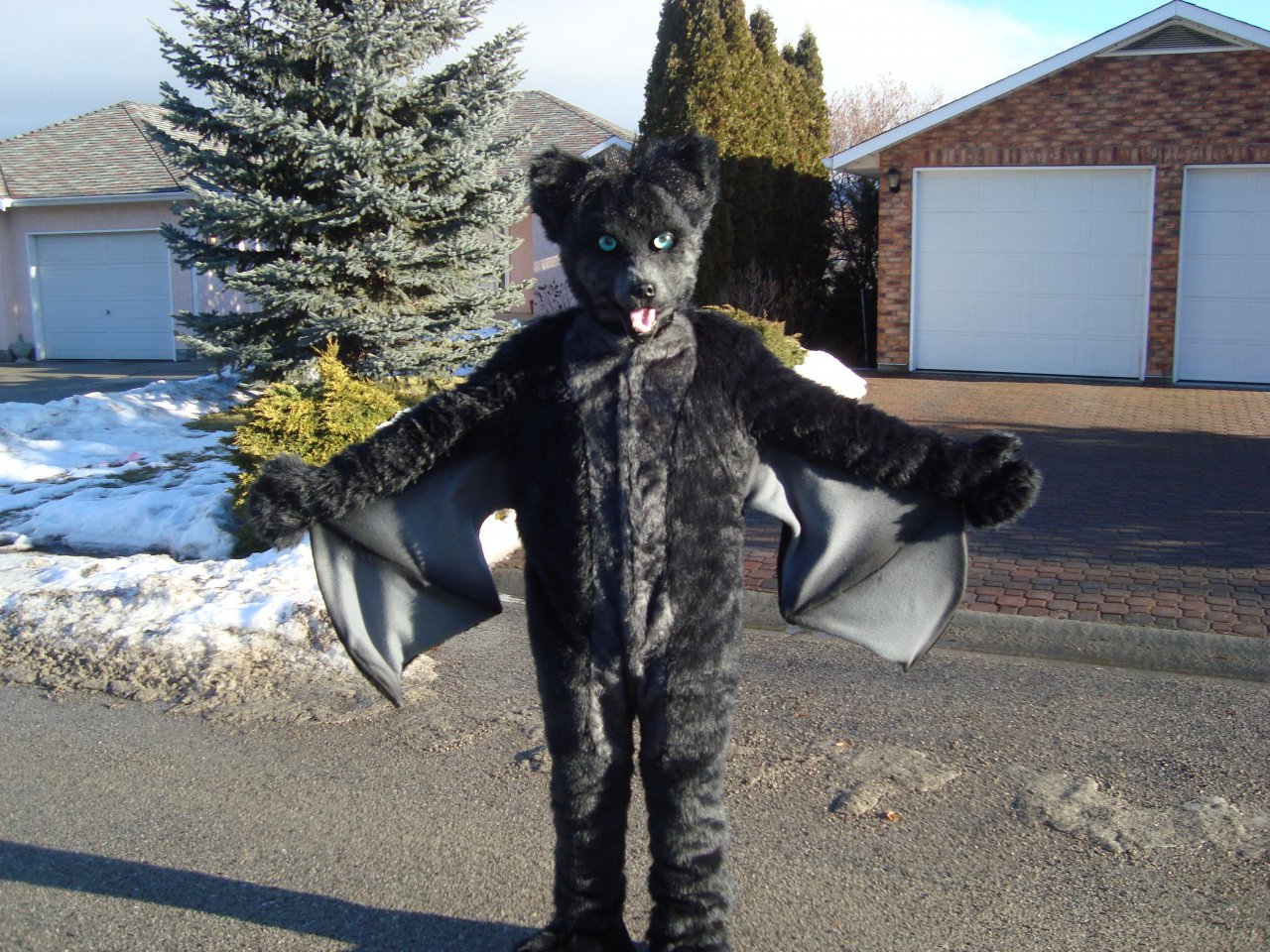 Bat Fursuit - Full Body! by iErrored -- Fur Affinity [dot] net