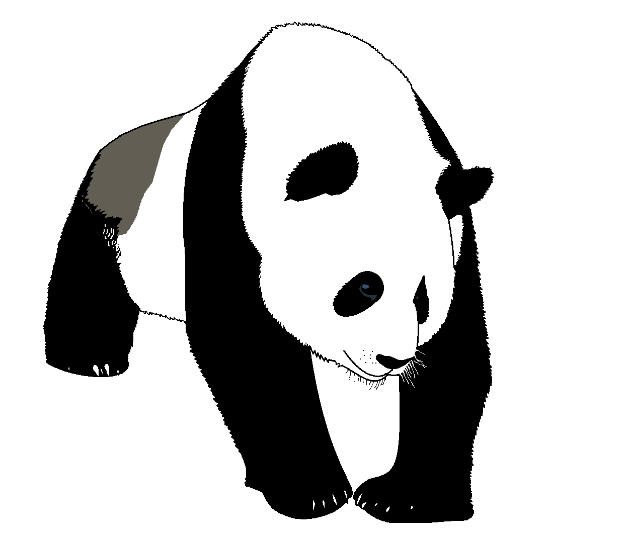 Realistic giant panda by Ihateloofah1234 -- Fur Affinity [dot] net