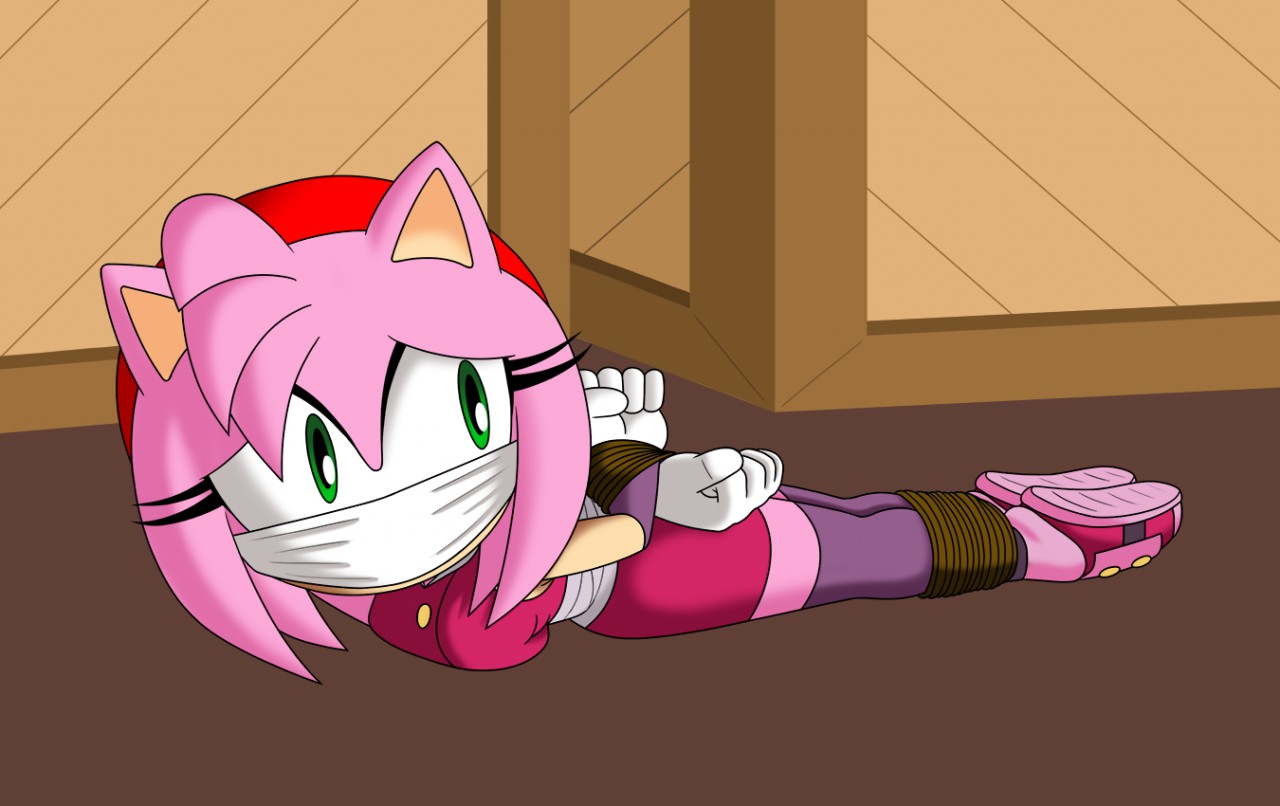 Amy rose tied