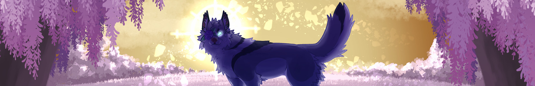 Profile Banner image