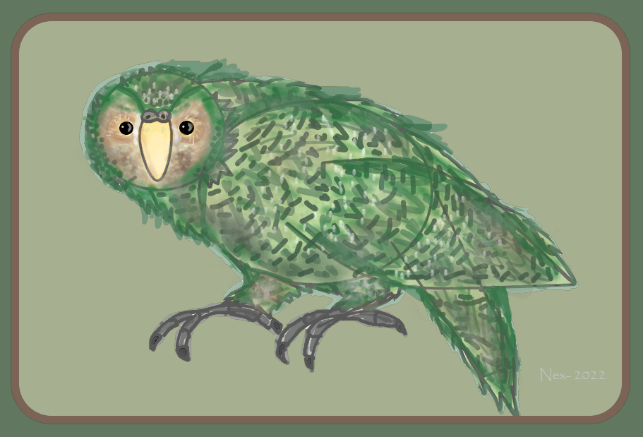 1656872821.infrarednexus_kakapo_painting_2022.png