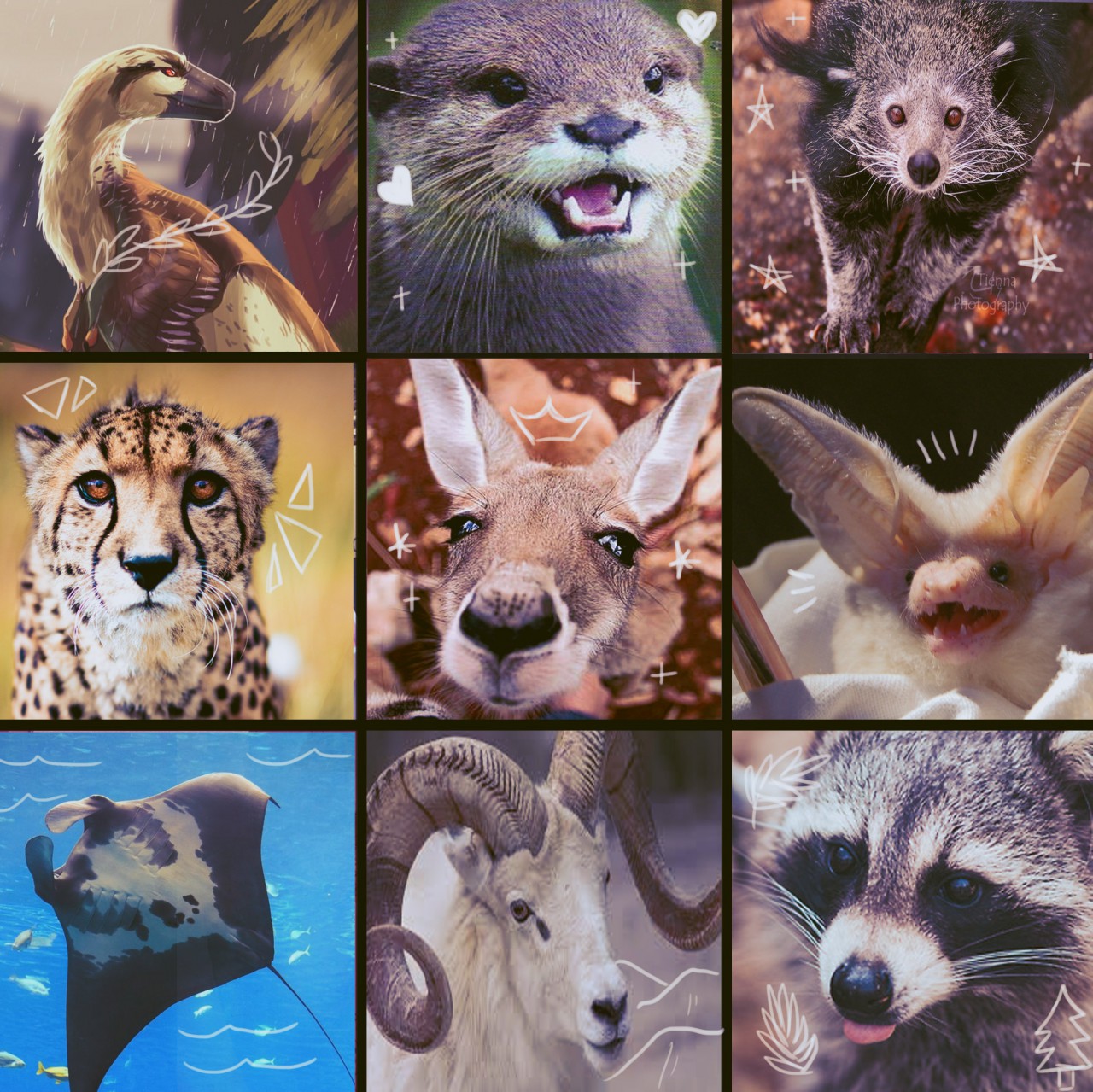 animal moodboard by Inkfang -- Fur Affinity [dot] net