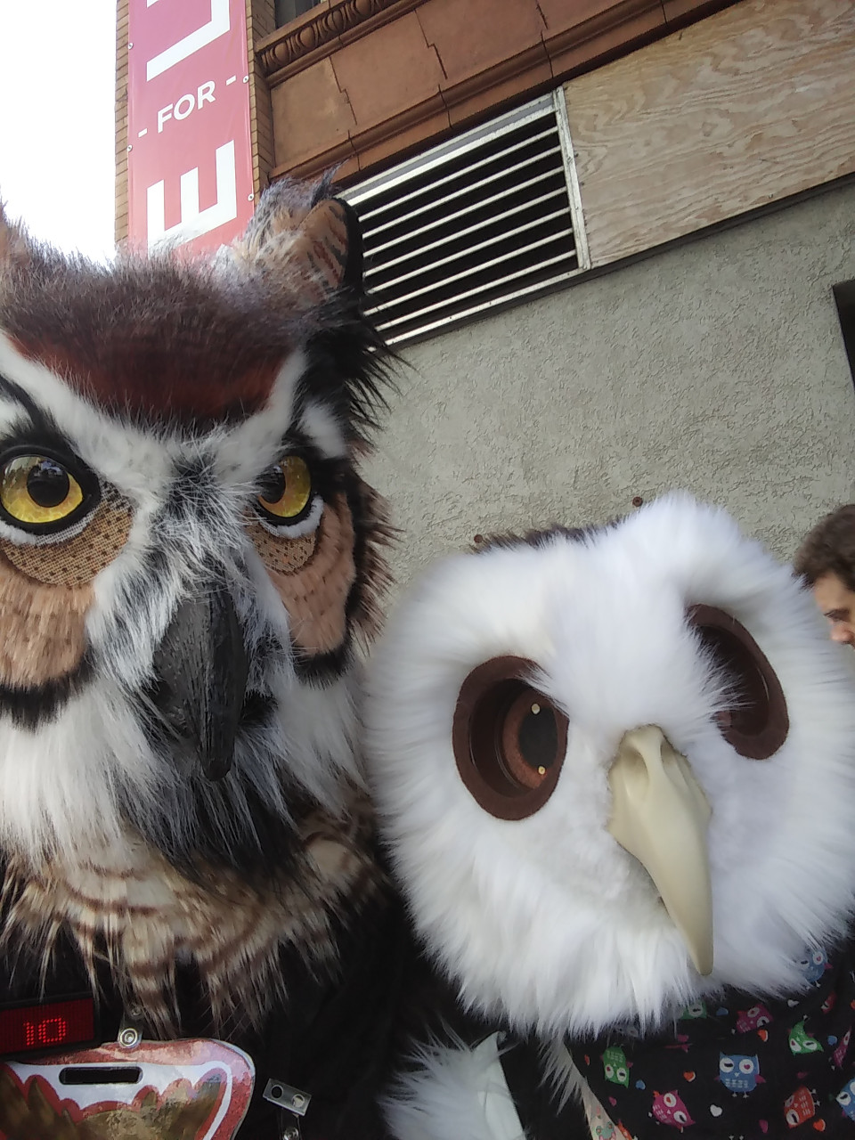 Anthrocon was a Real Hoot!