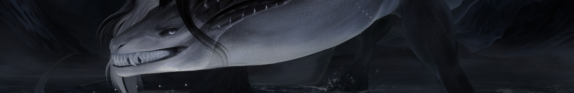 Profile Banner image