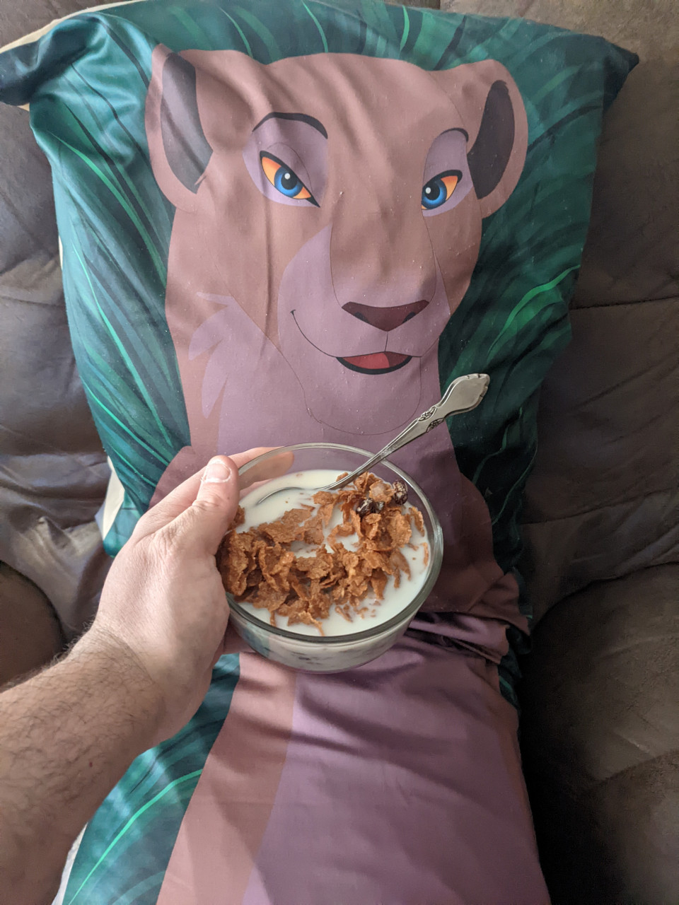 nala pillow