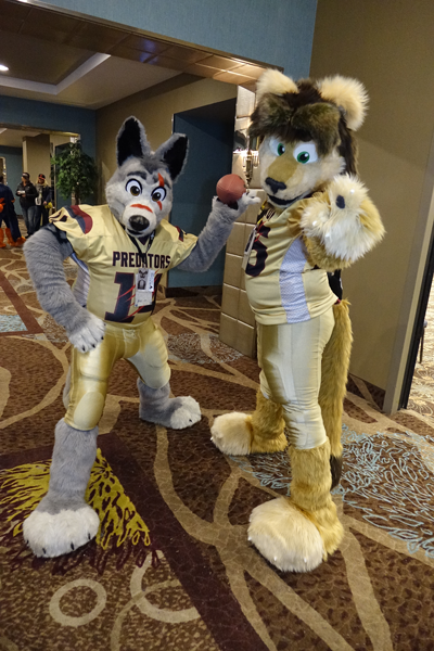 BLFC 2015: Predators are ready!!