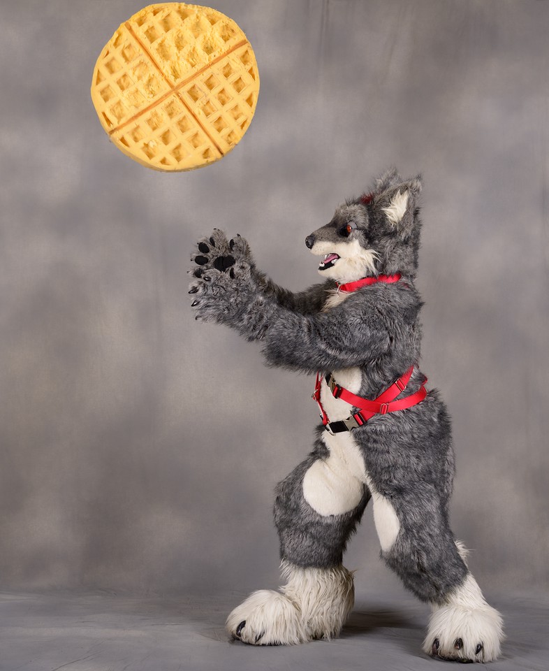 MCFC15 - Fursuit Photoshoot 02 - "Waffle Toss"