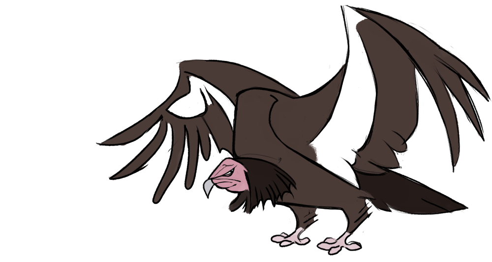 California Condor Cartoon - canvas-titmouse