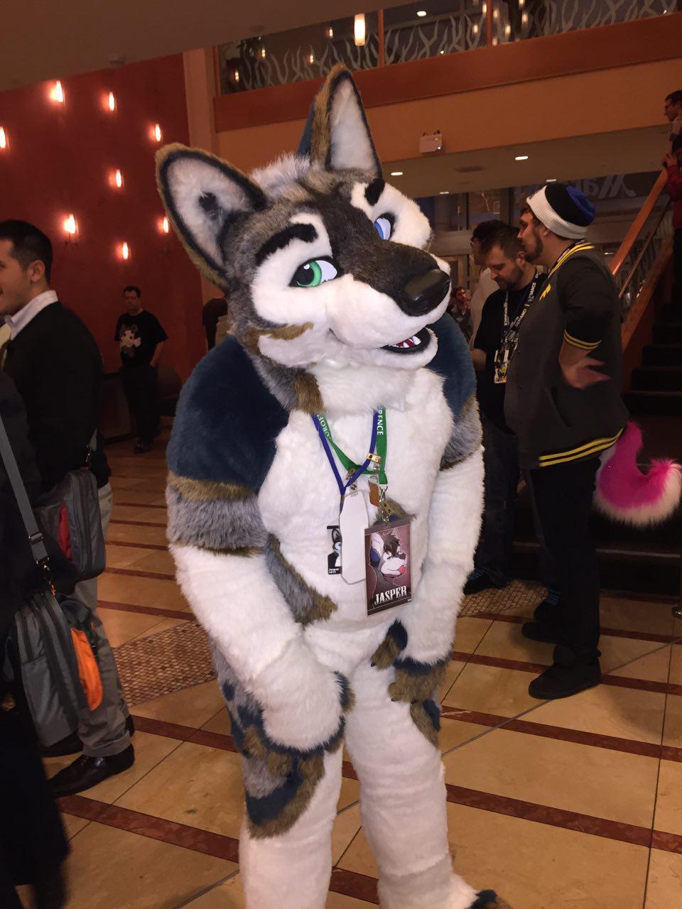 Jasper at FC 2015