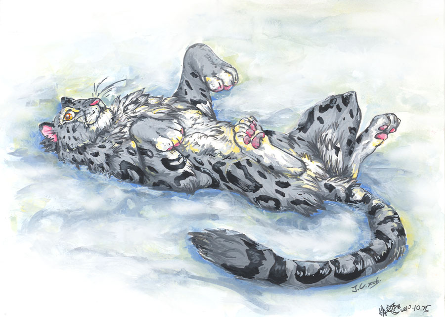 Snow leopard headshot Extra art by shrimpHEBY on DeviantArt