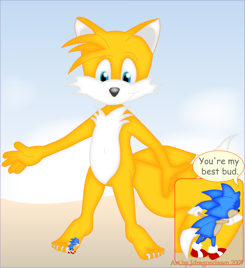 Sonic and Macro Tails by jdragondawn -- Fur Affinity [dot] net