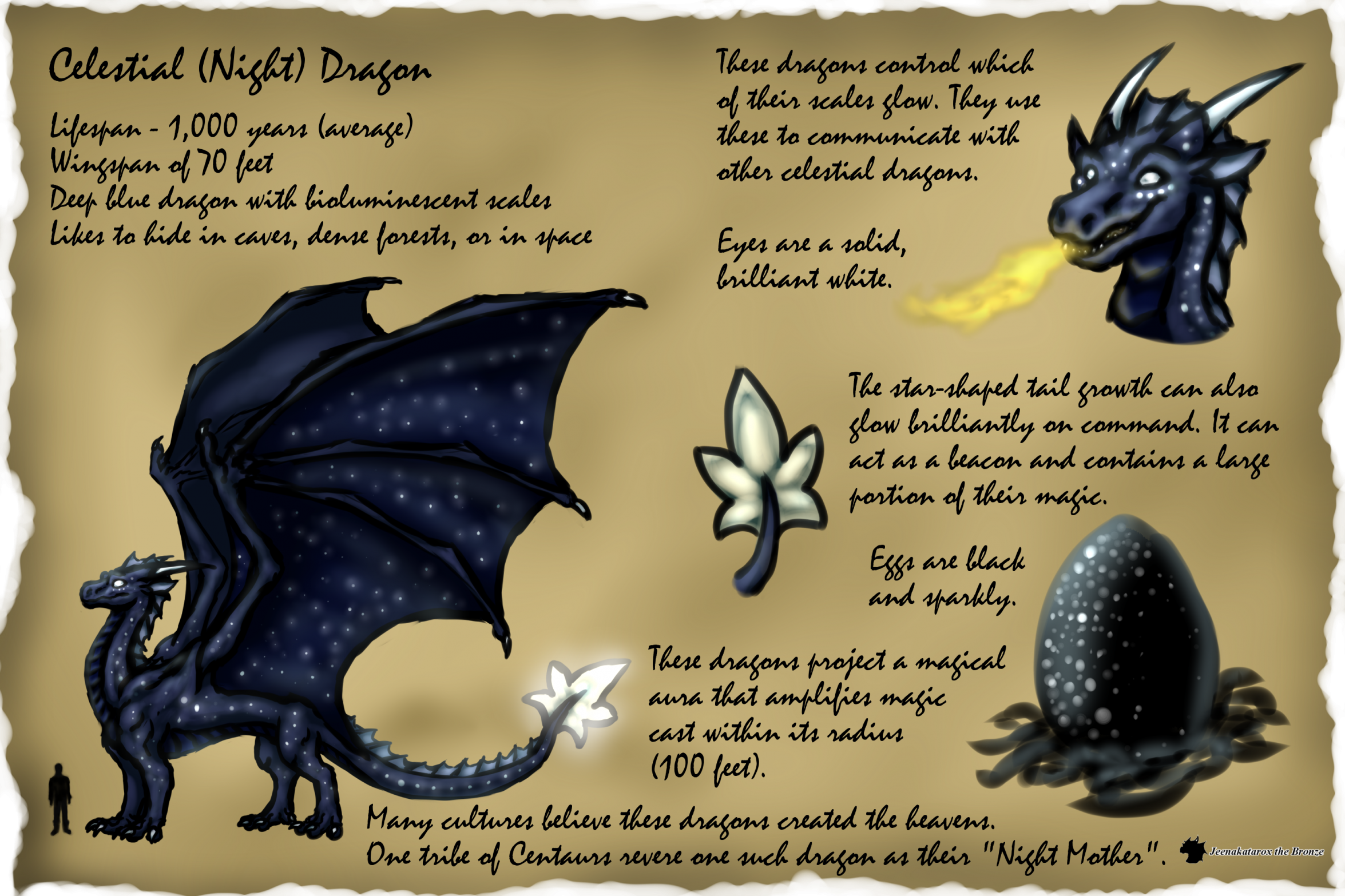 Babblebrook Dragons - Celestial (Night) Dragon by Jeenakatarox -- Fur  Affinity [dot] net