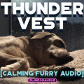Thunder Vest [Dog relaxation audio]