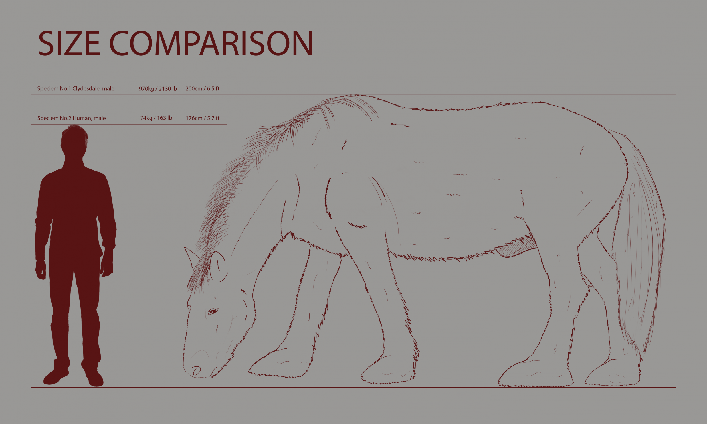 Size comparison horse pred / humam prey by JepJepJap185 -- Fur Affinity  [dot] net