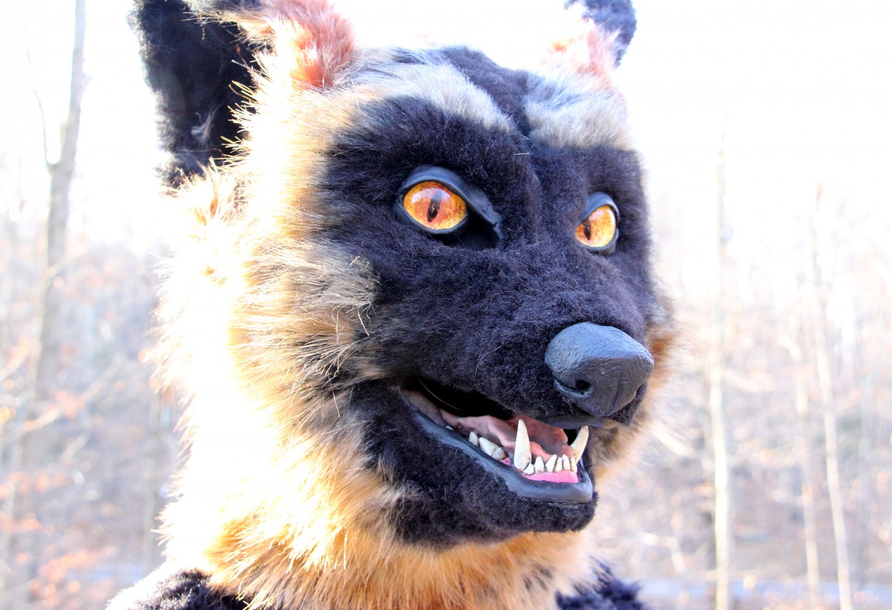 Cross Fox Mask by Jiro_Miyamoto -- Fur Affinity [dot] net