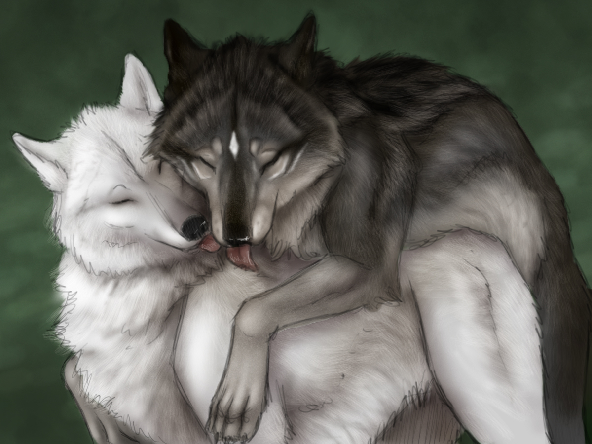 wolf furries mating