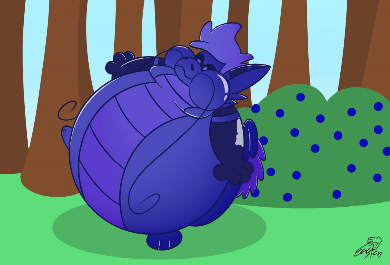 Blueberry inflation allergy