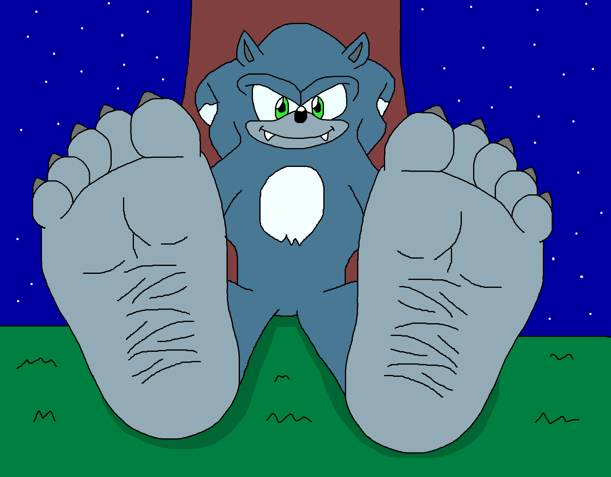 Sonic the werehog feet