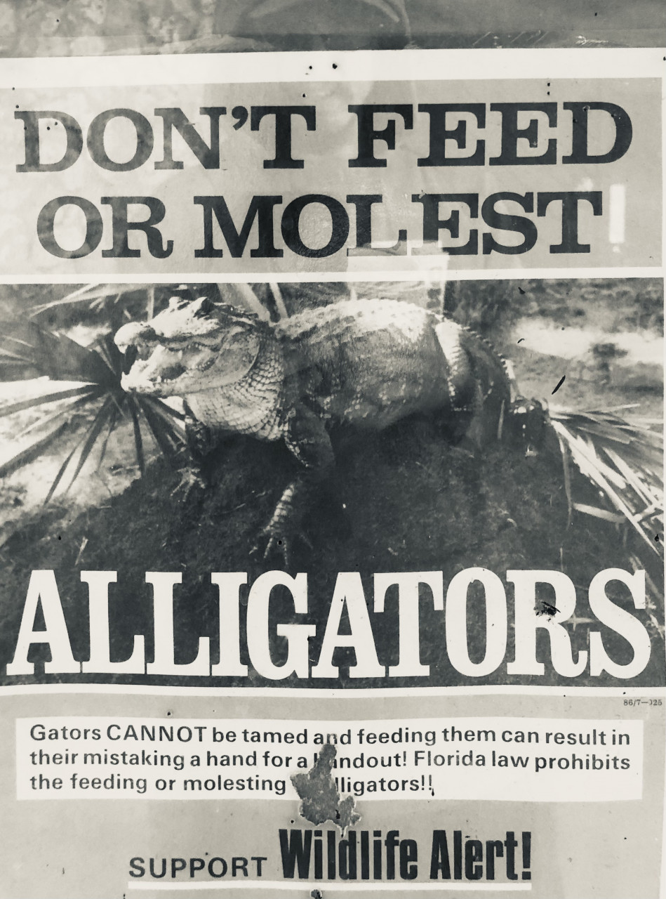 Don’t Feed or Molest