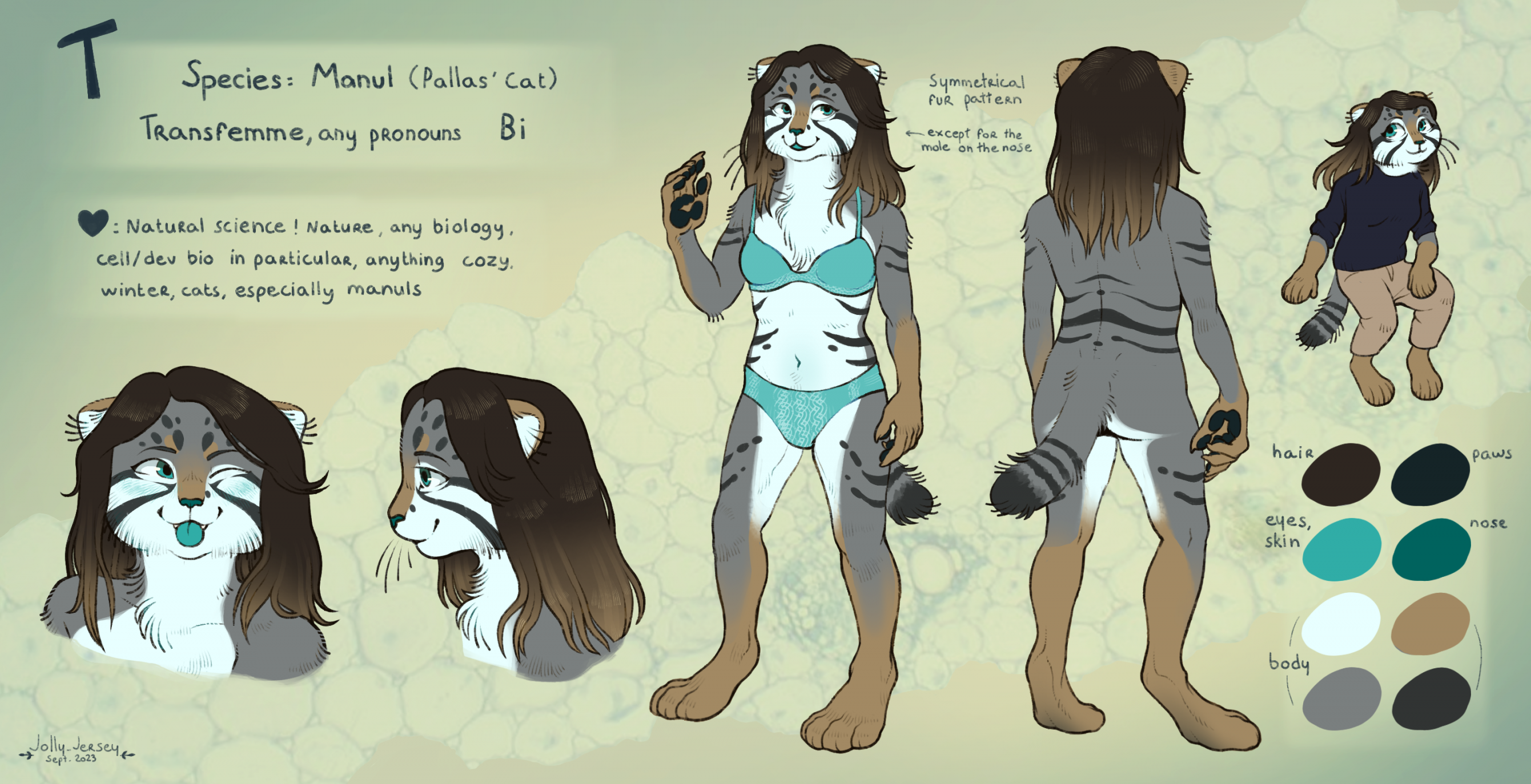 Commission Cat Full Reference Sheet (Download Now) 