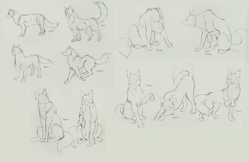 Sketch # 11 - 14 Feral Wolves by Jorge-the-Wolfdog -- Fur Affinity [dot] net