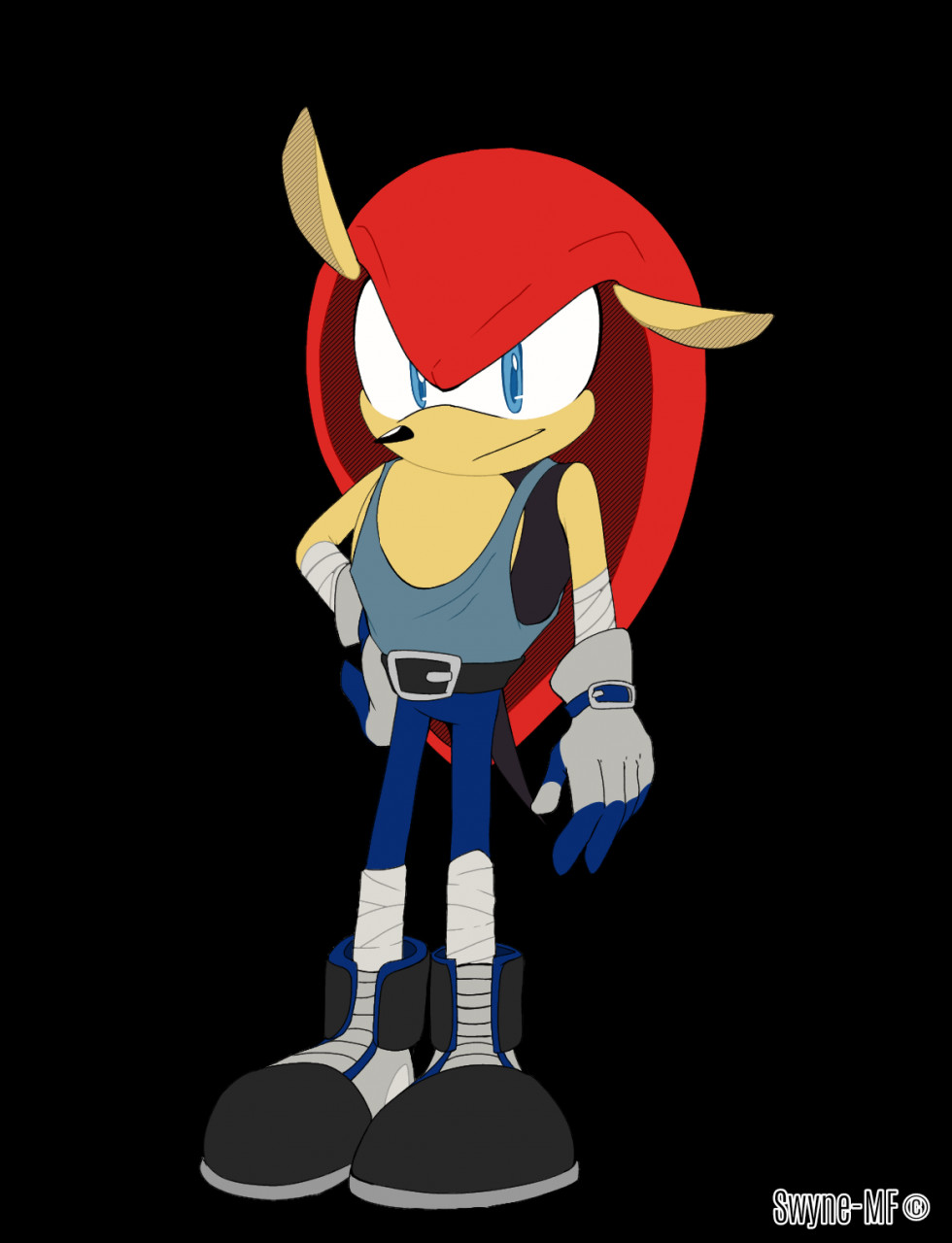 Mighty the armadillo colored by Runhurd -- Fur Affinity [dot] net