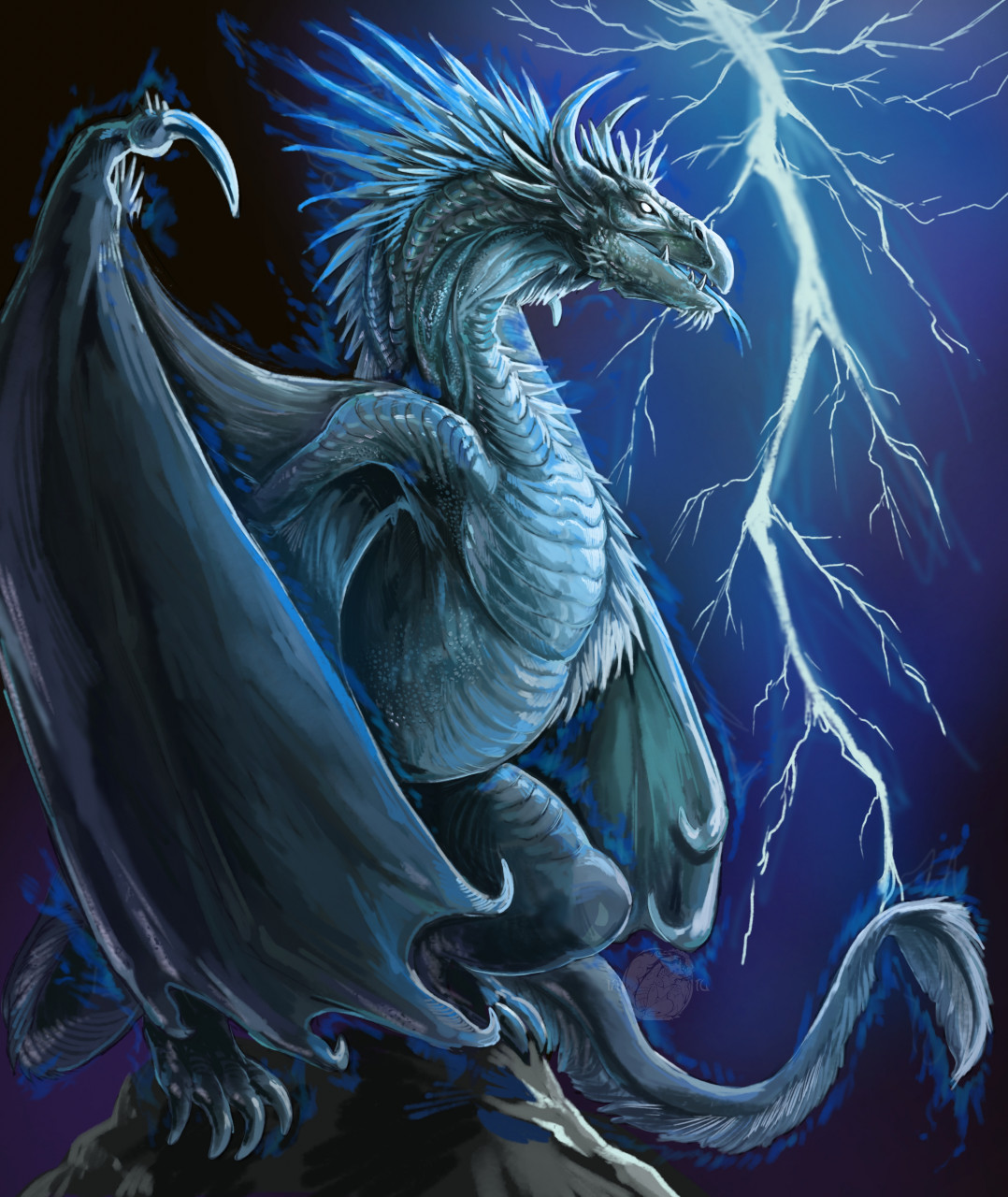 Orders Storm Dragon