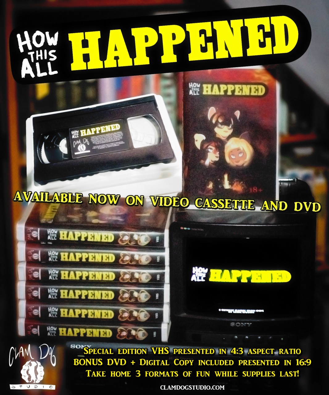 How This All Happened: Limited edition VHS by Kabangeh -- Fur Affinity  [dot] net