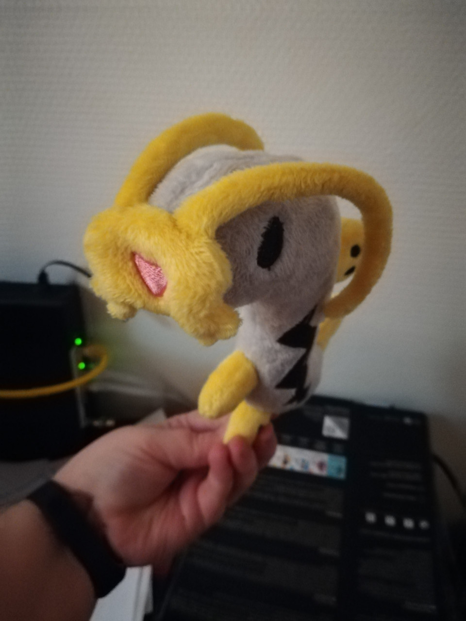 barboach plush