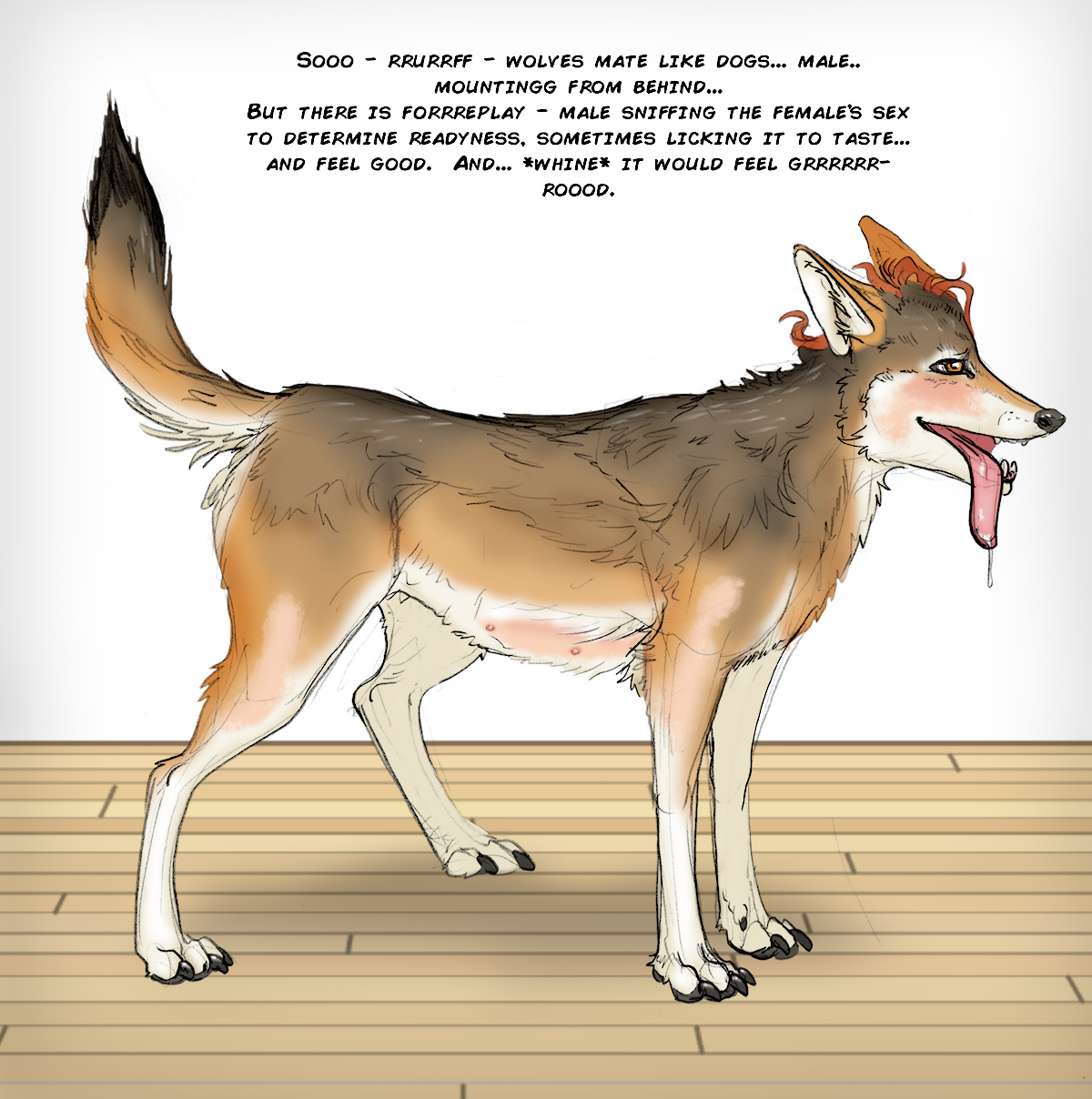 Red Wolf Homework by Arania 19 (colors) by Kai_The_Eagle -- Fur Affinity  [dot] net