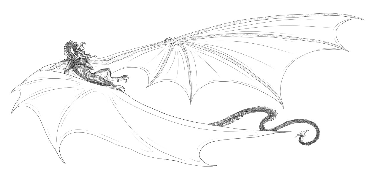 smaug dragon coloring pages