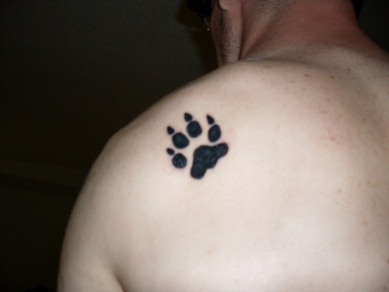Custom Paw Print Dog or Cat Paw Temporary Tattoo Sheet 8.5 X 11 Dog or Cat  Temporary Tattoos Personalized Tats Tattoos - Etsy