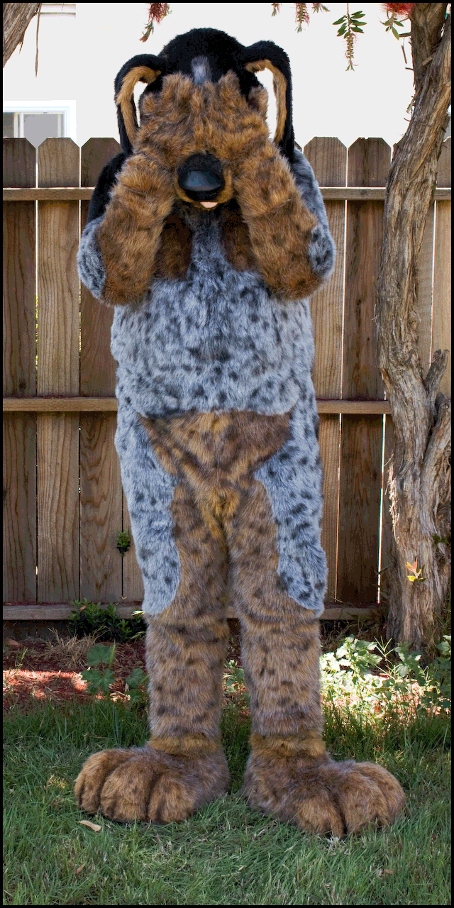 bluetick coonhound plush