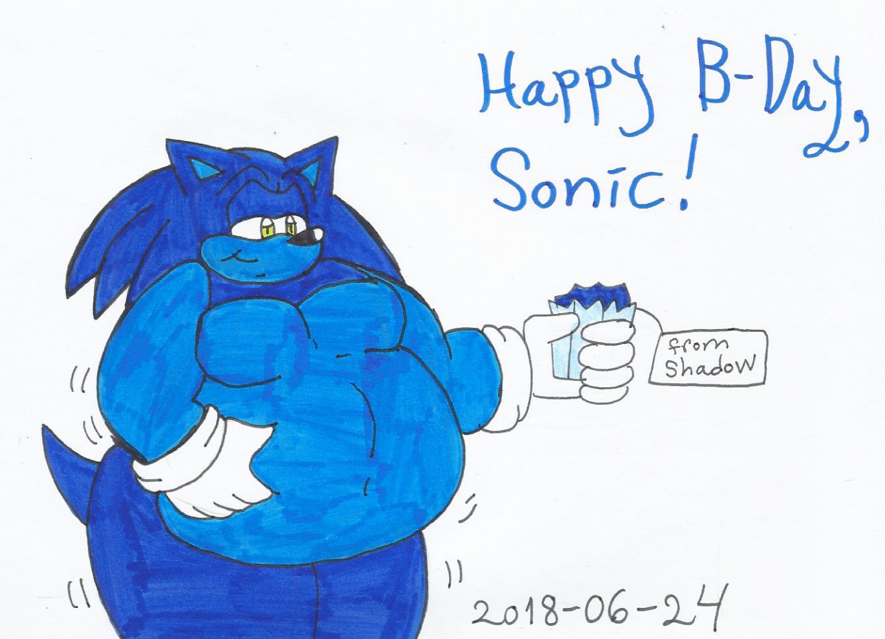 A BERRY BIG Happy Anniversary Sonic 2018 by KatarinatheCat18 -- Fur  Affinity [dot] net